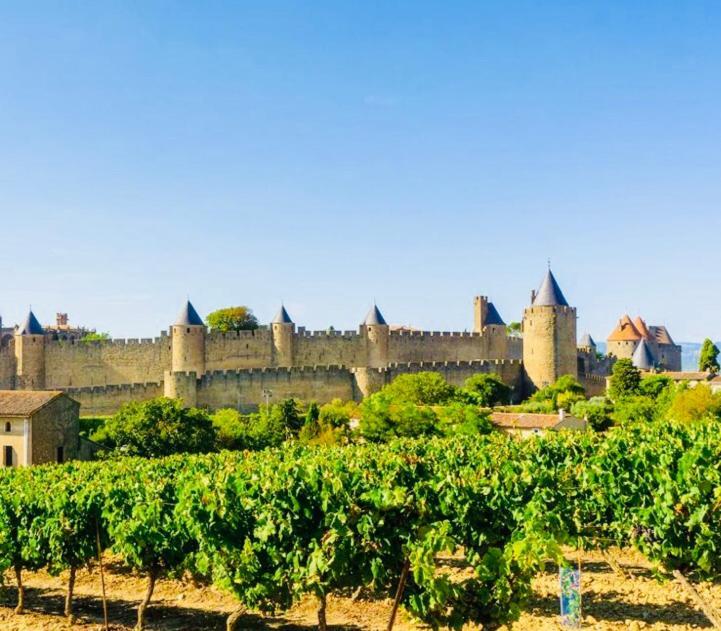 T2 Cocooning Vue Panoramique Cite Apartment Carcassonne Luaran gambar